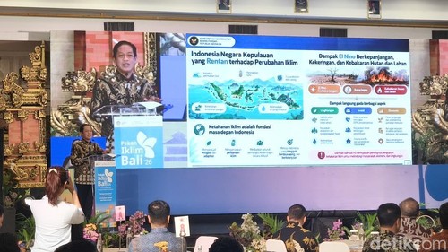 Wamenko Pangan Hanif Faisol Nurofiqsaat menghadiri Pekan Iklim Bali di Denpasar, Selasa (13/10/2026). (Foto: Putu Yonata/detikBali)