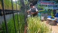 Program tersebut tidak hanya berorientasi pada ketahanan pangan dan penyediaan beras, tetapi juga terintegrasi dengan upaya penanganan stunting serta pengelolaan dan pemilahan sampah. 
