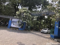 Heboh Warga Curhat Diminta Bayar Saat Piknik di Wisdom Park UGM