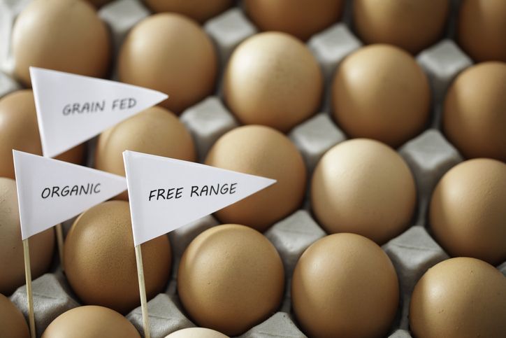 Apa Beda Telur dengan Label Apa Beda Telur dengan Label