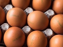 Apa Beda Telur dengan Label Cage-Free, Free-Range, dan Pasture-Raised?