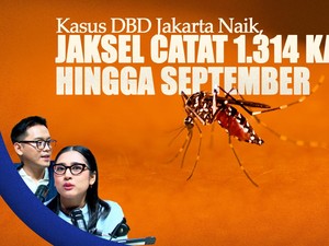 Kasus DBD Jakarta Naik, Jaksel Catat 1.314 Kasus hingga September