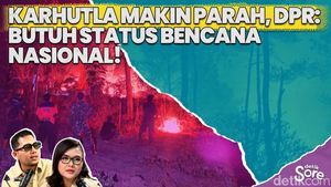 Video: Kebakaran Hutan Makin Parah, Pemerintah Bisa Apa?