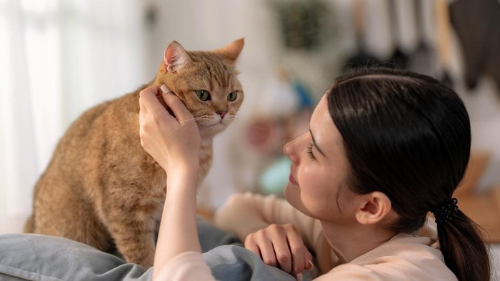 Happy Asian woman enjoying playing with her cute pet at home.