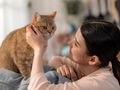 Benarkah Kucing Punya Hormon yang Bisa Memengaruhi Mood Pemiliknya? Ini Kata Studi