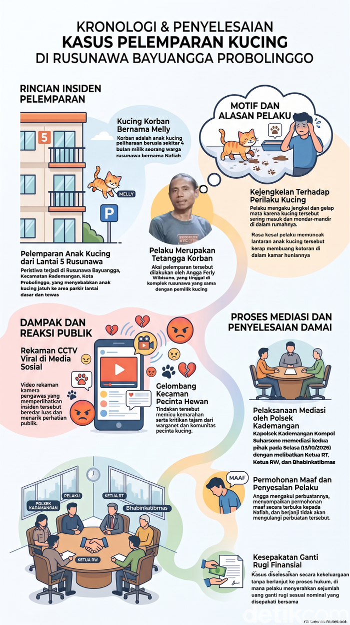 Infografis kasus pelemparan kucing dari lantai 5 rusunawa Probolinggo