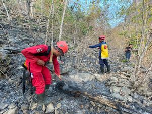 Duh! Kebakaran Hutan Karst Pangkep Ancam Situs Purba, Lukisan Gua Jadi Sorotan