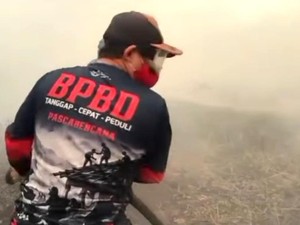 Pakar Ungkap Alasan Karhutla Kalimantan Sulit Dipadamkan