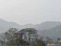 Gorontalo Diselimuti Asap Dampak Karhutla Kalimantan-Papua