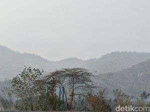Gorontalo Diselimuti Asap Dampak Karhutla Kalimantan-Papua