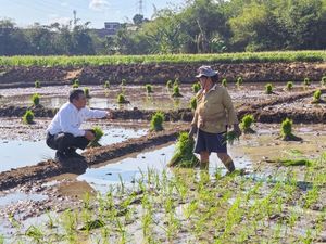 2 Tahun Prabowo-Gibran, Pengamat Sebut Kinerja Mentan Amran Terbaik