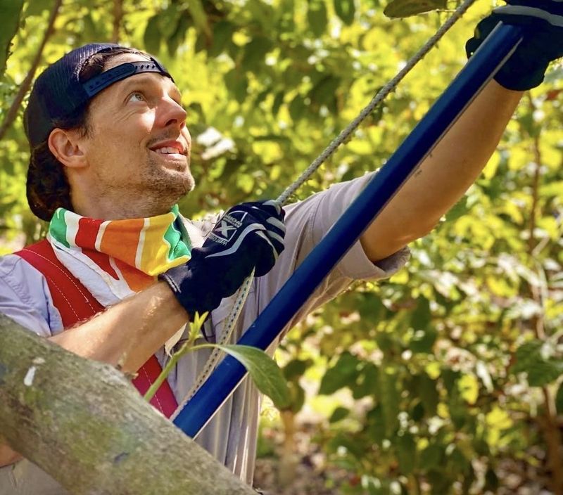 Jason Mraz Punya Kebun Hampir 7 Hektar, Tanam Alpukat hingga Kopi