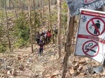 Kebakaran di Hutan Jati Banyumas Tewaskan Lansia 72 Tahun
