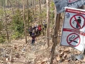 Kebakaran di Hutan Jati Banyumas Tewaskan Lansia 72 Tahun