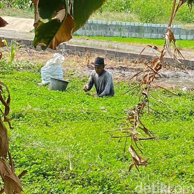 Potret Kampung Semanggi Surabaya