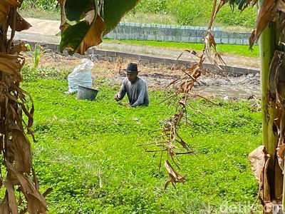 Potret Kampung Semanggi Surabaya