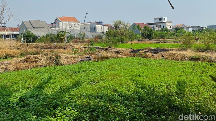 Potret Kampung Semanggi Surabaya