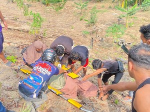 Cegah Karhutla, Pria di Samarinda Tewas Terkepung Kobaran Api