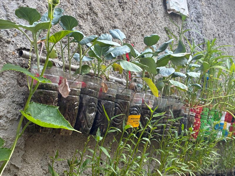 RT 11 Hasil dari kompos akan dibagikan ke warga guna membantu menyuburkan tanaman yang mereka tanam di pot depan rumah (ada kangkung, cabai, tomat, ah pokoknya beragam!) sampai diberikan untuk pakan ikan lele, nila, juga bawal.