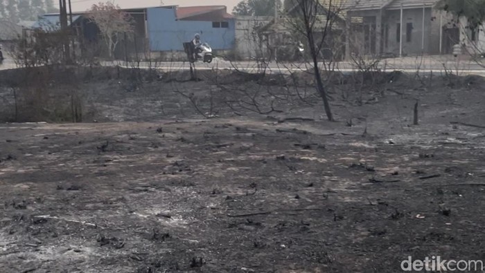 ScreenshotSisa lahan yang ludes terbakar karhutla di Kalsel.