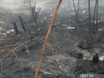 27 Ribu Hektare Lahan di Kalsel Terbakar Selama Karhutla 2026