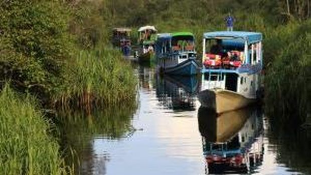 Taman Nasional Tanjung Puting. (Istimewa/Laman Kementerian Kehutanan) Taman Nasional Tanjung Puting. (Istimewa/Laman Kementerian Kehutanan)