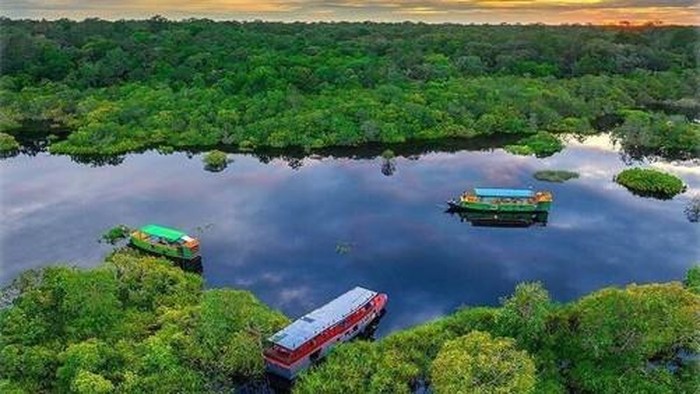 Taman Nasional Tanjung Puting. (Istimewa/Laman Kementerian Kehutanan)