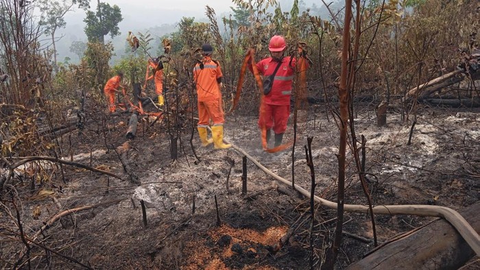 Tim Satgas saat padamkan Karhutla di Jambi