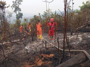 DPRD Jambi Kaji Pansus Karhutla, Kebakaran di Wilayah Konsesi Jadi Sorotan