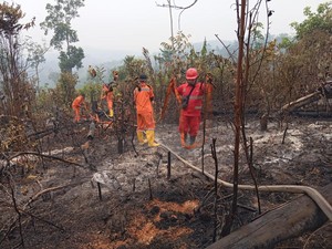 DPRD Jambi Kaji Pansus Karhutla, Kebakaran di Wilayah Konsesi Jadi Sorotan