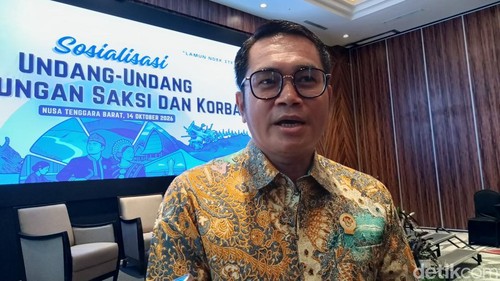 Wakil Kepala LPSK, Wahyudin. (Foto: Abdurrasyid Efendi/detikBali)