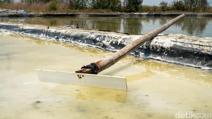 Asa Petambak Garam Benowo Menjaga Rantai Produksi di Pesisir Kota Pahlawan Asa Petambak Garam Benowo Menjaga Rantai Produksi di Pesisir Kota Pahlawan