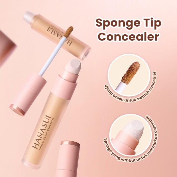 Hanasui Perfect Cover Concealer