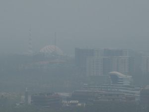 Mencekam! IKN Ditelan Asap Kebakaran Hutan, Istana Garuda Menghilang