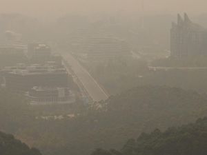 Karhutla Belum Jadi Bencana Nasional, Apa Syaratnya?