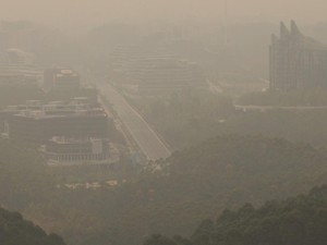 Karhutla Belum Jadi Bencana Nasional, Apa Syaratnya?
