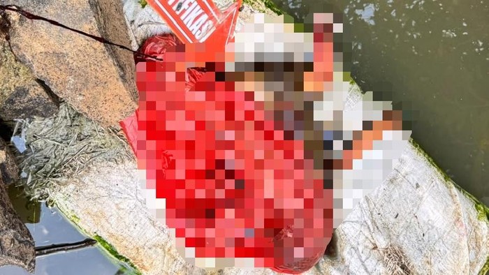 Jasad bayi perempuan ditemukan di Sungai Terusan, Lampung Utara