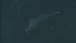 Kapal Kargo Singapura Tenggelam di Selat Hormuz, Ribuan Kontainer Hanyut Kapal Kargo Singapura Tenggelam di Selat Hormuz, Ribuan Kontainer Hanyut