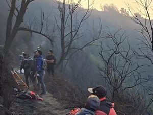 Polisi Selidiki Tewasnya 4 Orang Saat Padamkan Karhutla di Bromo