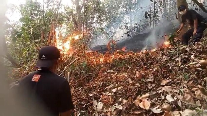 Karhutla di Kecamatan Anreapi, Kabupaten Polman.