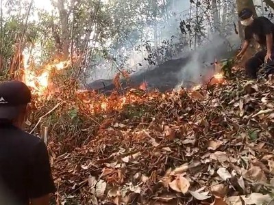 Video: 7 Jam Petugas Padamkan Api Karhutla di Polman