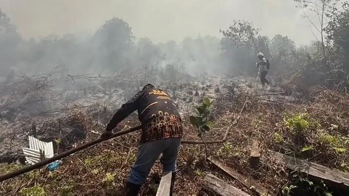Karhutla di Sampit