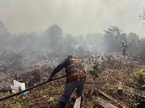 Menhut Mau Koordinasi dengan BPN soal Lahan Telantar Rawan Karhutla di Kotim
