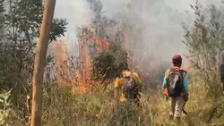 Situasi Terkini Kebakaran Hutan Lereng Lawu Karanganyar, 100 Hektare Hangus