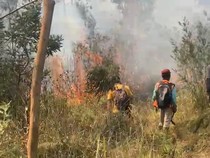 Situasi Terkini Kebakaran Hutan Lereng Lawu Karanganyar, 100 Hektare Hangus