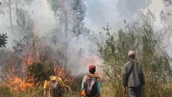 Komisi IV DPR Ungkap PR Besar BPGMN Pulihkan Gambut agar Tak Ada Lagi Karhutla