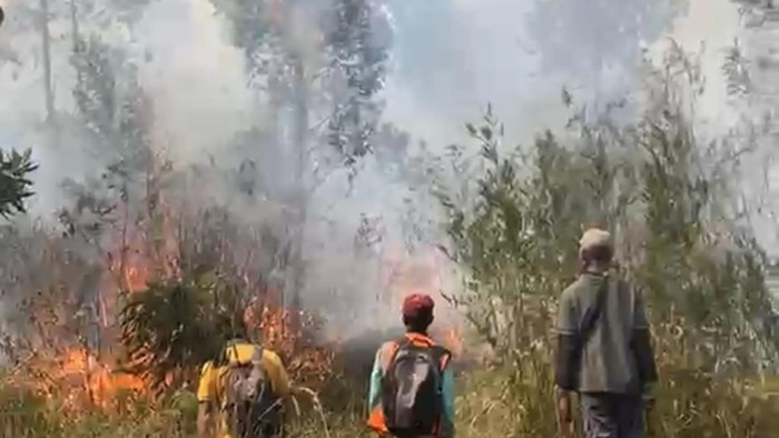 Kebakaran hutan di Desa Gondosuli, Kecamatan Tawangmangu, Kabupaten Karanganyar, Kamis (15/10/2026).