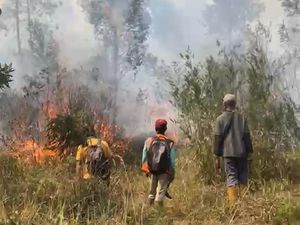 Hutan di Belakang Lawu Park Tawangmangu Terbakar