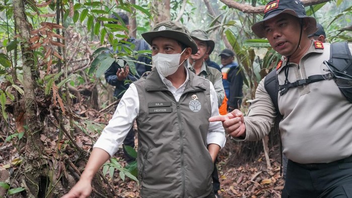 Menhut Raja Juli di kawasan Taman Nasional Tanjung Puting, Kalimantan Tengah, mendorong persiapan akses darat menuju titik api di Pesalat. (Istimewa/Dok Kemenhut)