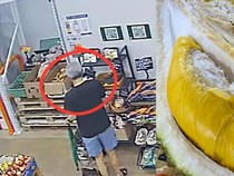 Modus Bawa Koper, Pria Ini Kepergok CCTV Curi Durian Musang King!